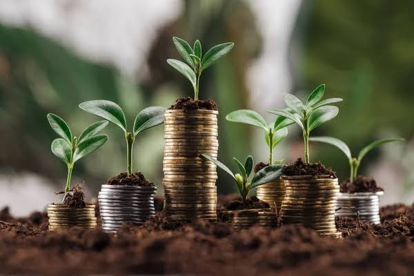 Young plants growing from stacks of coins